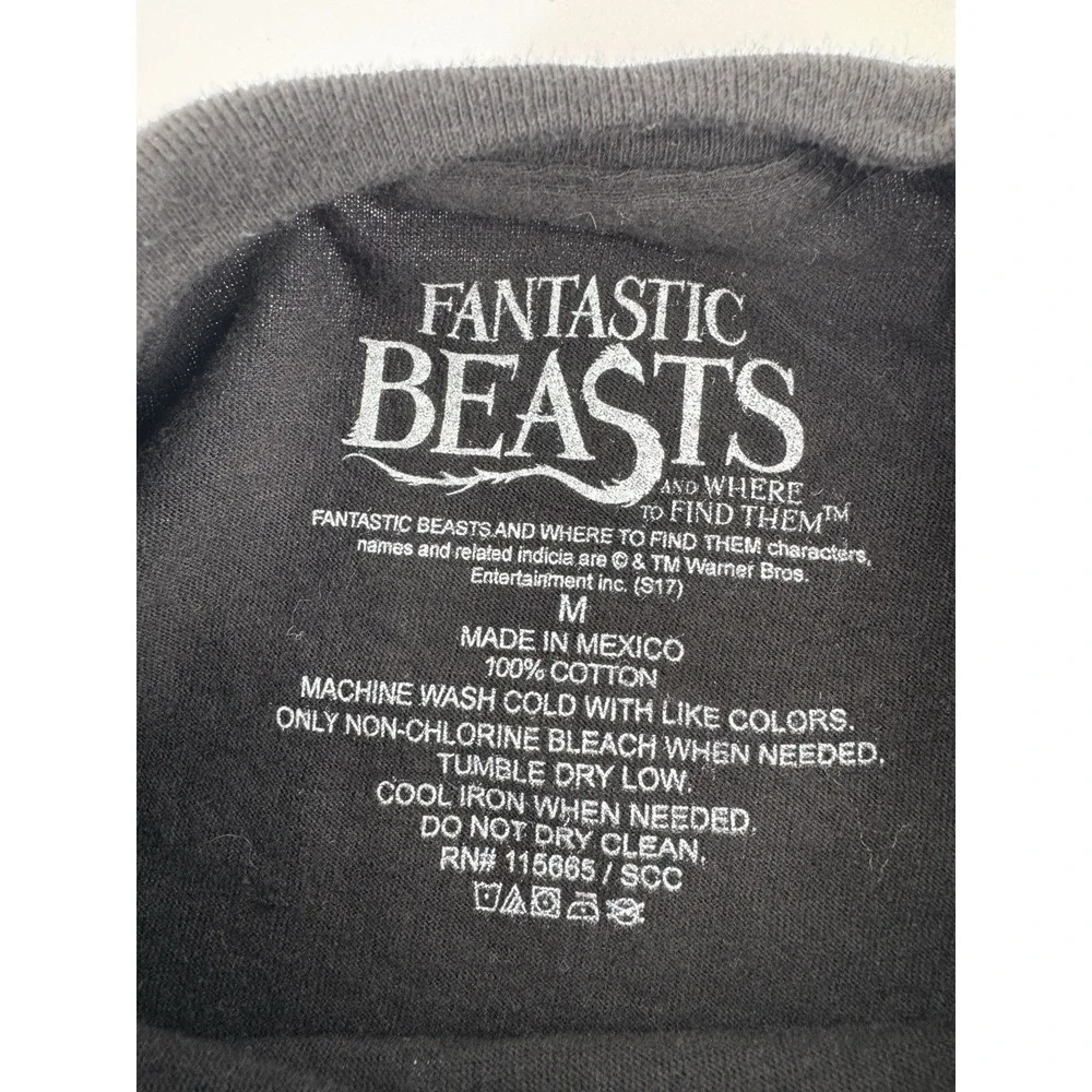 Fantastic Beasts description this